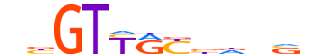 RFX7.H14CORE.0.SM.B motif logo (RFX7 gene, RFX7_HUMAN protein)