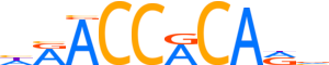 RUNX1.H14CORE.0.P.B reverse-complement motif logo (RUNX1 gene, RUNX1_HUMAN protein)