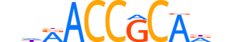 RUNX2.H14CORE.1.S.B reverse-complement motif logo (RUNX2 gene, RUNX2_HUMAN protein)