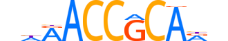RUNX3.H14CORE.2.S.B reverse-complement motif logo (RUNX3 gene, RUNX3_HUMAN protein)