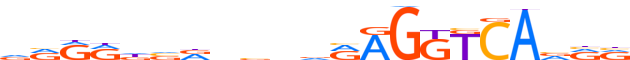 RXRA.H14CORE.3.P.B motif logo (RXRA gene, RXRA_HUMAN protein)