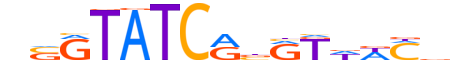 SIX2.H14CORE.1.M.C reverse-complement motif logo (SIX2 gene, SIX2_HUMAN protein)