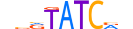 SIX6.H14CORE.0.SM.B reverse-complement motif logo (SIX6 gene, SIX6_HUMAN protein)