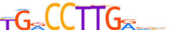 STF1.H14CORE.0.PSM.A reverse-complement motif logo (NR5A1 gene, STF1_HUMAN protein)