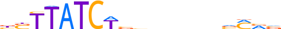 TAL1.H14CORE.0.P.B reverse-complement motif logo (TAL1 gene, TAL1_HUMAN protein)