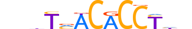 TBX15.H14CORE.0.SM.B reverse-complement motif logo (TBX15 gene, TBX15_HUMAN protein)