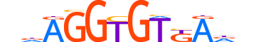 TBX18.H14CORE.0.M.C motif logo (TBX18 gene, TBX18_HUMAN protein)