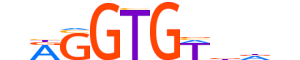 TBX2.H14CORE.0.SM.B motif logo (TBX2 gene, TBX2_HUMAN protein)