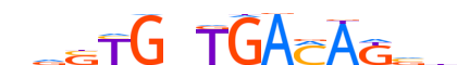 TBX20.H14CORE.0.P.C motif logo (TBX20 gene, TBX20_HUMAN protein)