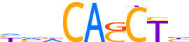TBX4.H14CORE.0.PS.A reverse-complement motif logo (TBX4 gene, TBX4_HUMAN protein)