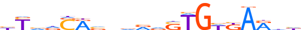 TBXT.H14CORE.0.PS.A motif logo (TBXT gene, TBXT_HUMAN protein)