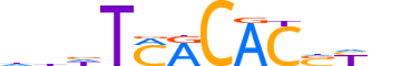 TBXT.H14CORE.1.PSM.A reverse-complement motif logo (TBXT gene, TBXT_HUMAN protein)