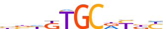 TDIF1.H14CORE.0.PSG.A reverse-complement motif logo (DNTTIP1 gene, TDIF1_HUMAN protein)