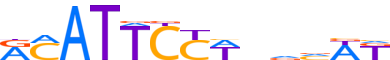 TEAD1.H14CORE.1.P.C motif logo (TEAD1 gene, TEAD1_HUMAN protein)