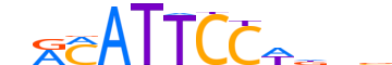 TEAD4.H14CORE.0.PS.A motif logo (TEAD4 gene, TEAD4_HUMAN protein)