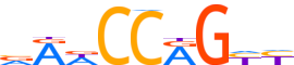 TF2L1.H14CORE.1.P.B motif logo (TFCP2L1 gene, TF2L1_HUMAN protein)