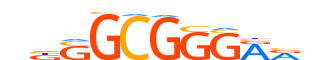 TFDP1.H14CORE.0.P.B motif logo (TFDP1 gene, TFDP1_HUMAN protein)