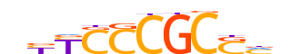 TFDP1.H14CORE.0.P.B reverse-complement motif logo (TFDP1 gene, TFDP1_HUMAN protein)