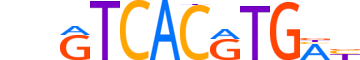TFEB.H14CORE.0.SM.B motif logo (TFEB gene, TFEB_HUMAN protein)