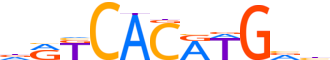 TFEB.H14CORE.1.P.C motif logo (TFEB gene, TFEB_HUMAN protein)