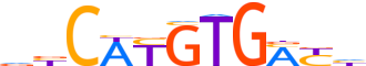TFEB.H14CORE.1.P.C reverse-complement motif logo (TFEB gene, TFEB_HUMAN protein)