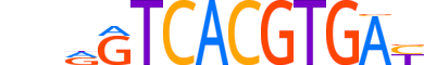 TFEC.H14CORE.1.SM.B motif logo (TFEC gene, TFEC_HUMAN protein)