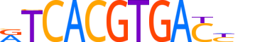 TFEC.H14CORE.1.SM.B reverse-complement motif logo (TFEC gene, TFEC_HUMAN protein)