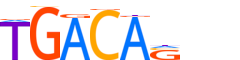 TGIF1.H14CORE.0.PSM.A motif logo (TGIF1 gene, TGIF1_HUMAN protein)