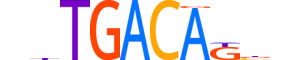 TGIF2.H14CORE.1.PSM.A motif logo (TGIF2 gene, TGIF2_HUMAN protein)