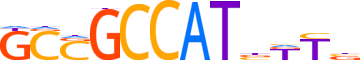 TYY2.H14CORE.0.PS.A reverse-complement motif logo (YY2 gene, TYY2_HUMAN protein)