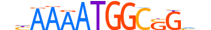 TYY2.H14CORE.1.SM.B motif logo (YY2 gene, TYY2_HUMAN protein)