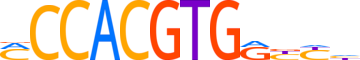 USF3.H14CORE.0.PSGIB.A reverse-complement motif logo (USF3 gene, USF3_HUMAN protein)