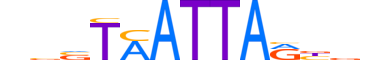 VAX2.H14CORE.0.SM.B motif logo (VAX2 gene, VAX2_HUMAN protein)