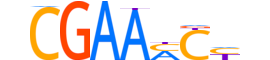 ZBED2.H14CORE.0.PSGIB.A motif logo (ZBED2 gene, ZBED2_HUMAN protein)