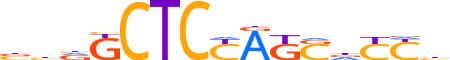 ZBTB6.H14CORE.0.P.B reverse-complement motif logo (ZBTB6 gene, ZBTB6_HUMAN protein)