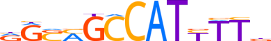 ZFP42.H14CORE.0.PM.A motif logo (ZFP42 gene, ZFP42_HUMAN protein)