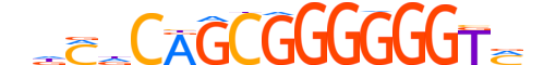 ZIC5.H14CORE.2.S.C motif logo (ZIC5 gene, ZIC5_HUMAN protein)