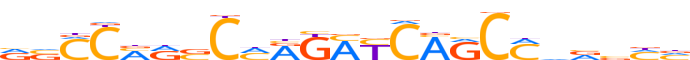 ZN283.H14CORE.0.P.C reverse-complement motif logo (ZNF283 gene, ZN283_HUMAN protein)