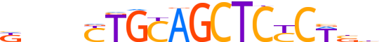 ZN483.H14CORE.0.P.C reverse-complement motif logo (ZNF483 gene, ZN483_HUMAN protein)