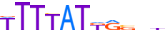 ARI1A.H14CORE.0.P.C motif logo (ARID1A gene, ARI1A_HUMAN protein)