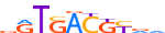 ATF3.H14CORE.1.P.B motif logo (ATF3 gene, ATF3_HUMAN protein)