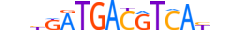 ATF3.H14CORE.3.SM.B motif logo (ATF3 gene, ATF3_HUMAN protein)