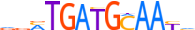 ATF4.H14CORE.0.P.B motif logo (ATF4 gene, ATF4_HUMAN protein)