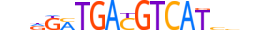 ATF4.H14CORE.2.SM.B motif logo (ATF4 gene, ATF4_HUMAN protein)