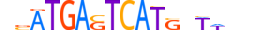 BACH2.H14CORE.1.SM.B motif logo (BACH2 gene, BACH2_HUMAN protein)