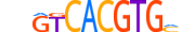 BHE41.H14CORE.0.PSM.A motif logo (BHLHE41 gene, BHE41_HUMAN protein)