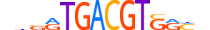 CREB3.H14CORE.0.SM.B motif logo (CREB3 gene, CREB3_HUMAN protein)