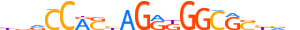 CTCF.H14CORE.0.P.B motif logo (CTCF gene, CTCF_HUMAN protein)