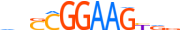 ELF2.H14CORE.0.PS.A motif logo (ELF2 gene, ELF2_HUMAN protein)