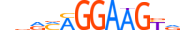 ETV1.H14CORE.1.PM.A motif logo (ETV1 gene, ETV1_HUMAN protein)